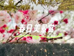 -蜀冈西峰生态公园