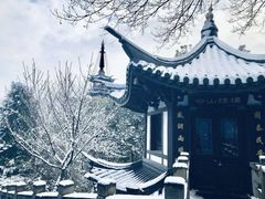 -上海佘山国家森林公园西佘山园