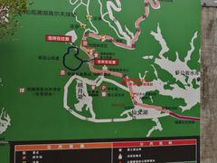-大屏嶂森林公园