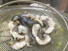-金砂阿洲鱼册店