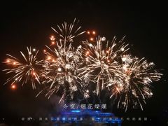-大塘金香草谷