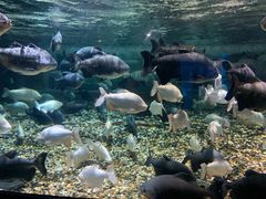 -成都浩海立方海洋公园