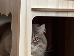 -爱诺耐芙动物医院(万博店)