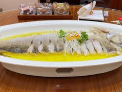 -鲁宴·鲁煨黄河生态大鲤鱼(月坛店)