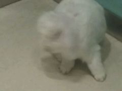 -雨林宠物医院 非犬猫异宠专科