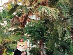 -石家庄市植物园