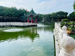 -广东圆玄道观