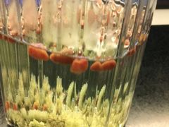 -旺顺阁·北京菜(北辰上品+)