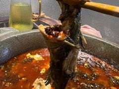 -石锅苗苗鱼(武汉首店)