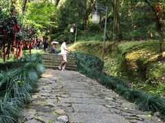 -梦姑塘文化公园