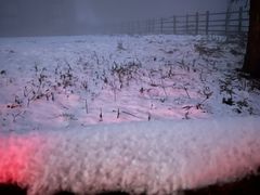 -武陵山森林公园