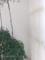 -HEYAN荷妍专业脱毛连锁机构