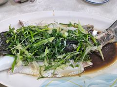 清蒸泉水鲩鱼-成惠食府(赤岗店)