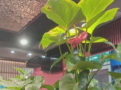 -洞庭家宴·头牌甲鱼(广渠门店)