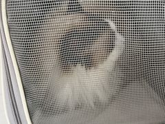 -艾贝尔宠物医院·24H转诊中心·肿瘤猫专科(江宁双龙店)