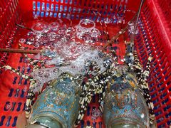 -抱德·潮汕味(琶洲店原惠城鱼仔)