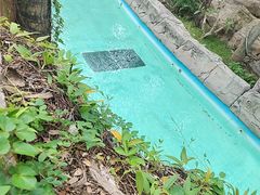 -亚马逊丛林水乐园