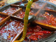 -洋马儿火锅(解放碑店)