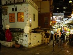 -猫咪博物馆(顶澳仔猫街店)