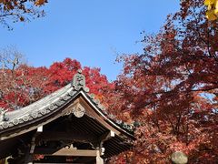 -常寂光寺