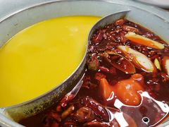 -青瓷火锅料理(西单大悦城店)