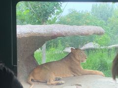 -北京野生动物园