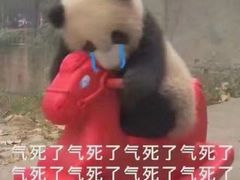 -URBAN REVIVO(欢乐海岸购物中心店)