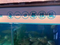 -淘米捞·米汤脆鲩鱼火锅(福田皇岗店)