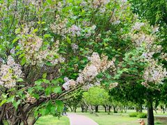 -长春公园(普阳街道)