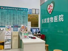 -乐琪宠物医院·犬猫专科·骨外科·急重症