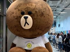 -line friends(明洞旗舰店)