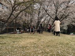 -浙江大学(玉泉校区)