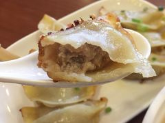 鲜肉锅贴-小姜锅贴(凤凰街店)