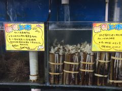 爱尔兰圣子皇-蚝专家(北滘店)