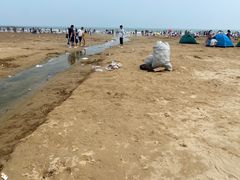 -日照海滨国家森林公园