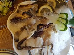 -尚海豆捞(乐虹坊店)