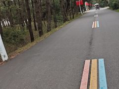 -日照海滨国家森林公园