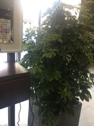 -Tmix 潮牌美发造型