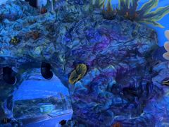 -海合安成都极地海洋公园