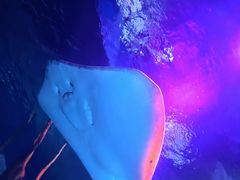 -沈阳海洋探索中心