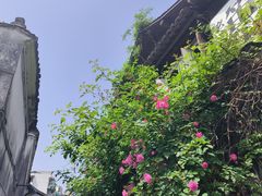 -小河直街历史文化街区