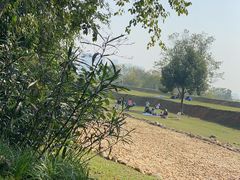 -盘龙城遗址博物院