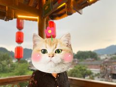 -印象鲵宴·张家界地标美食名片(溪布街店)