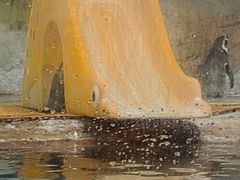 -海合安武汉极地海洋公园