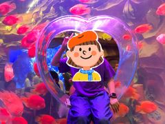 -芜湖新华联大白鲸海洋公园