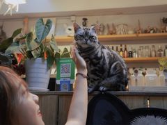 -小时光咖啡馆(北锣鼓巷店)
