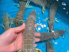 -学府海鲜批发市场