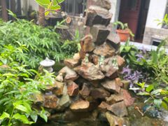 -水岸居湖景农家乐·阳澄湖大闸蟹