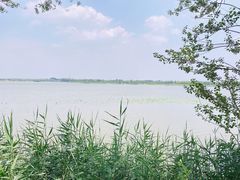 -野鸭湖国家湿地公园