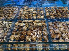 -徐记海鲜(梅溪新天地店)